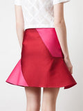 Veranica Color blocked Flared Skirt