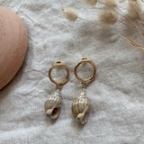 Luella Conch Shell Earrings