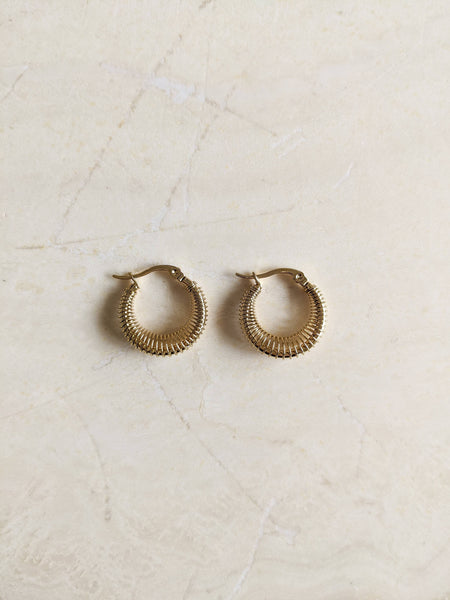Amity Coil Hoops