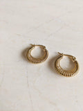 Amity Coil Hoops