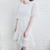 Simona Mesh Fluted Dress - HELLO PARRY Australian Fashion Label 